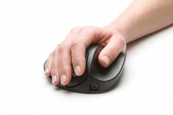 Bakkerelkhuizen Handshoemouse Rato Mão Direita Rf.
