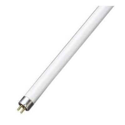 Lampada Fluorescente T5 8W