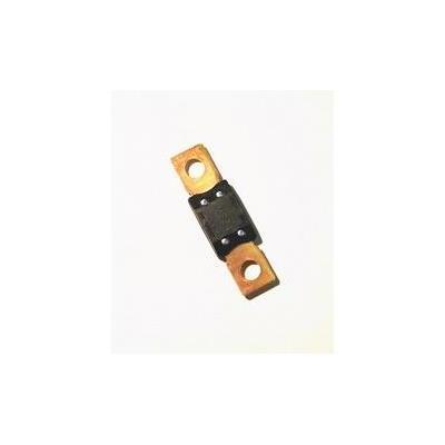Fusivel Para Amplificador Auto 100A