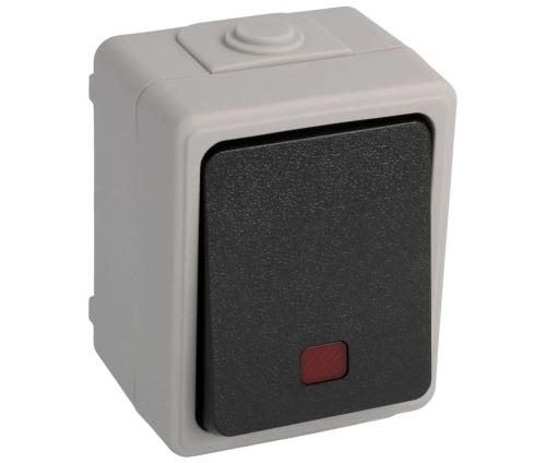 Interruptor 10A/250V c/Prote&ccedil;ao Contra Intemperies