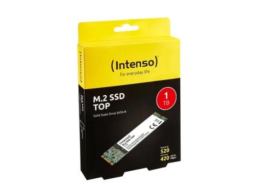 Intenso M.2 SSD Top 1tb Sata Iii
