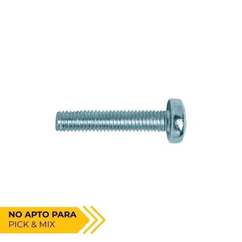 Caja 250 Parafuso Cabeça de Queijo Philips Din/Re.