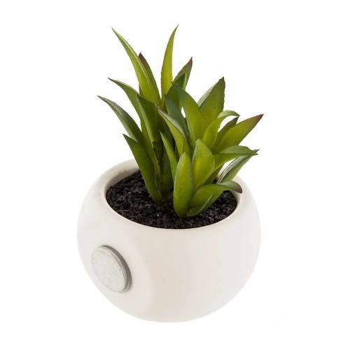 Mini Plantas Decorativas com Íman Vários Modelos .