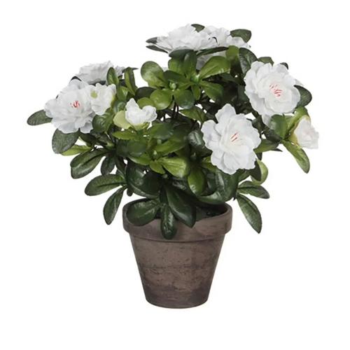 Azálea Artificial Branca Em Vaso Cinzento - 11,5cm