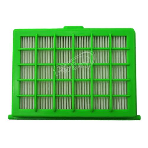 Filtro Hepa para aspirador Rowenta modelo RO2611EA