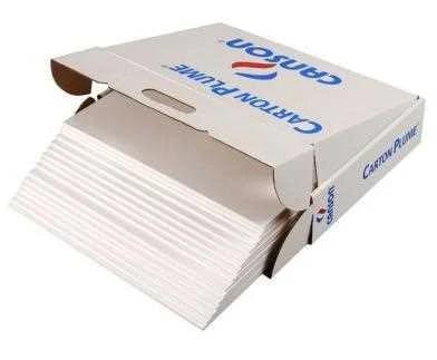 Carton Pluma A3 5mm Bl Canson C205154223