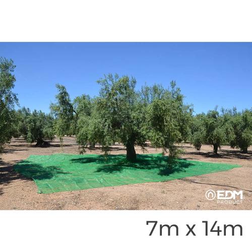 Manta Verde para Colheita Azeitona 7x14m