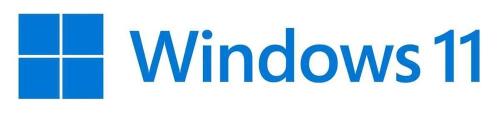 Microsoft Windows 11 Pro 1 License(S)