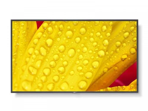 Monitor Nec Me431 43" 4k Ultra Hd Led
