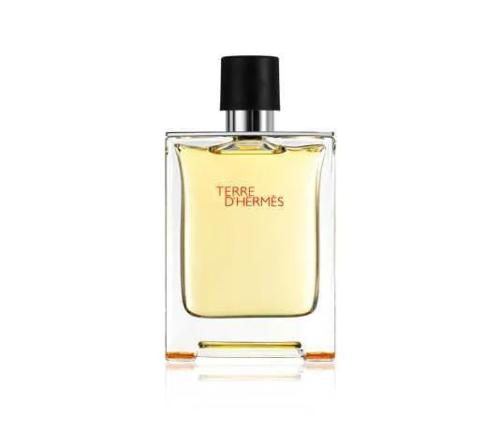Hermes Terre D'Hermès Man EDT 100ml (Original)