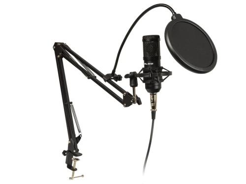 Microphone Recording With Handle