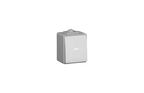 Botão Basculante Luminoso De 250V~ Cinzento