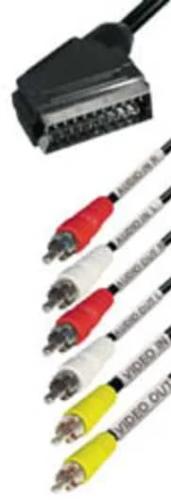 Euro a 6 Rca E-V56