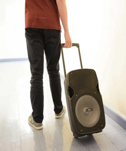 Pal10 Portable Pa Unit With Tws And LED Light Show