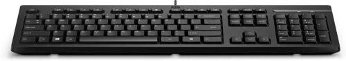 Hp Teclado com Fios 125