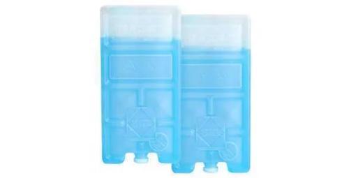 CAMPINGAZ 39040 BOLSA DE GELO 2 UNIDADE(S)