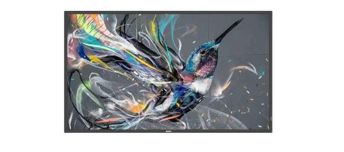 65bdl3511q 164cm 65in Ips LED Lfd