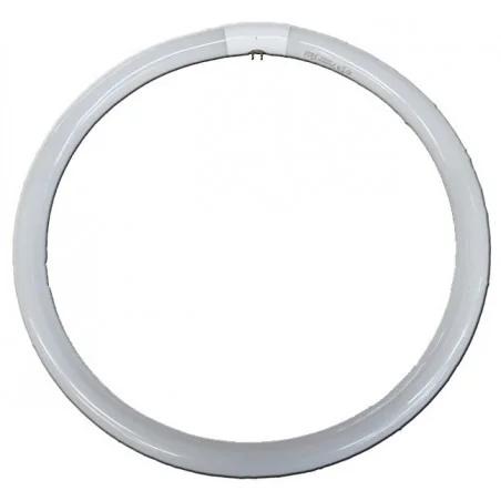 Lampada Fluorescente Circular G10q 22w 220-240v