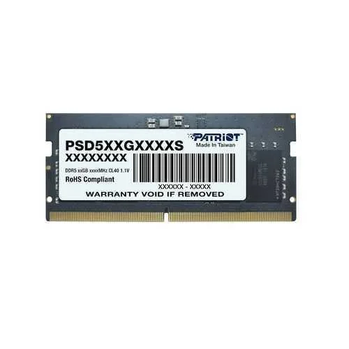 Patriot Memory Signature Psd516g560081s Módulo De.