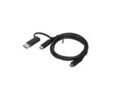 LENOVO 4X90U90618 CABO USB 1 M USB 3.2 GEN 1 (3.1.