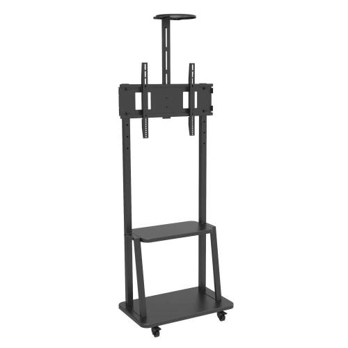 TECHLY ICA-TR33 SUPORTE DE EXIBIÇÃO DE SINALÉTICA.