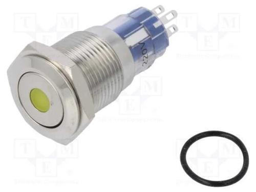 Interruptor: Antivandalismo, Dpdt, 3a/250vac, Ip67, On-(On)