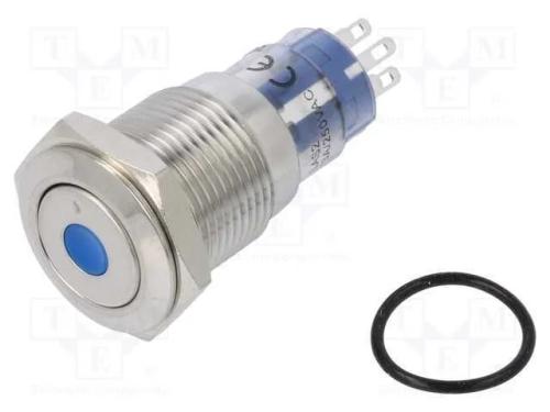 Interruptor: Antivandalismo, Dpdt, 3a/250vac, Ip67, On-(On), Azul