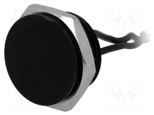 Interruptor: Piezoel&eacute;ctrico, Pos: 2, Spst-No, 0,2a/24vac, Ip68