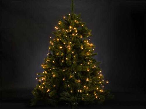 Led de Decoração 200lâmpadas Verde 24v