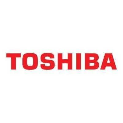 Toshiba Toner T-Fc338ec-R: E-Studio 338cs/Cp (6b000000920)