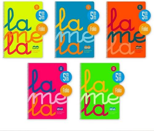 Cuaderno Folio Plastic Rayado 5 Mm 80 Hojas 90 Gr.