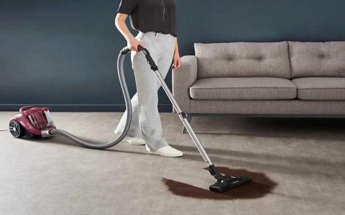 Aspirador com Saco Rowenta Ro4b63 Vermelho