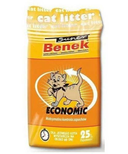 Areia para Gatos Super Benek Economic Cinzento 25.