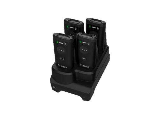 Cs6080 Cordless 4-Slot Device Perp