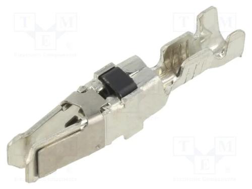 TYPE XII FEMALE CONT (L.P.)