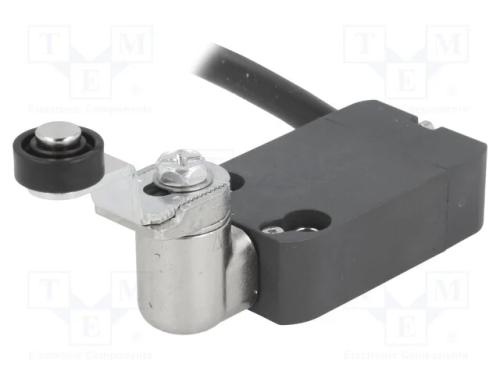 Interruptor Extremo, Alavanca R 33mm, Rolo Plástico 14mm