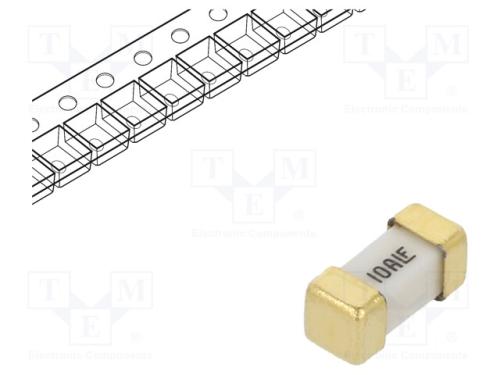 Fusível: baixa tensão, super-imediato, 10A, 125VA.