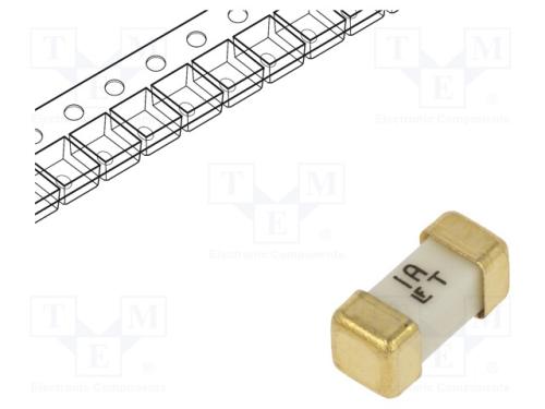Fusível: baixa tensão, retardado, 1A, 125VAC, 125.