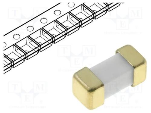 Fusível: baixa tensão, retardado, 1A, 125VAC, 125.