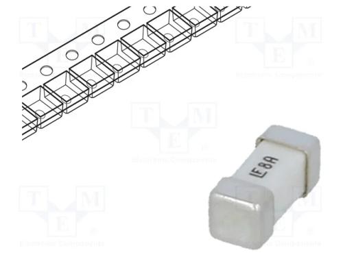 Fusível: baixa tensão, super-imediato, 8A, 125VAC.