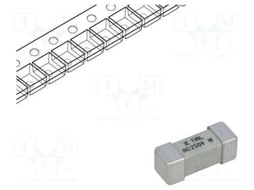 Fusível: baixa tensão, retardado, 1A, 250VAC, 250.