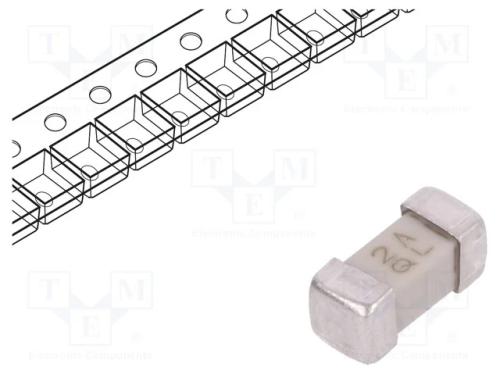 Fusível: baixa tensão, rápido, 2A, 125VAC, 125VDC.