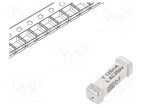 Fusível: baixa tensão, retardado, 125mA, 250VAC, .