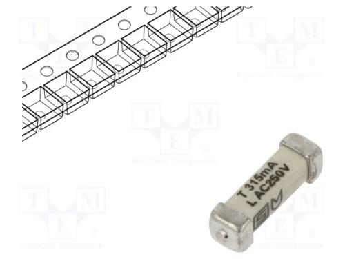 Fusível: baixa tensão, retardado, 315mA, 250VAC, .