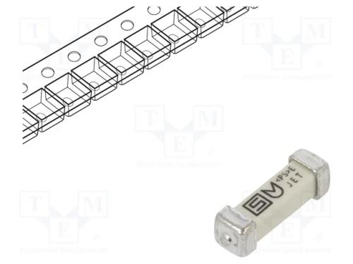 Fusível: baixa tensão, retardado, 1A, 250VAC, 125.