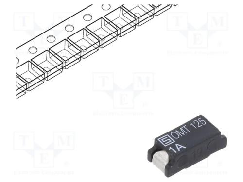 Fusível: baixa tensão, retardado, 1A, 125VAC, 125.