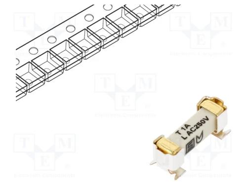Fusível: baixa tensão, retardado, 1A, 250VAC, 125.