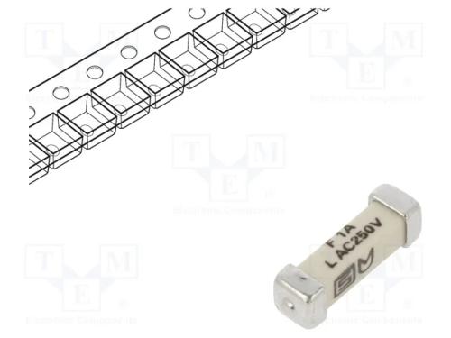 Fusível: baixa tensão, rápido, 1A, 250VAC, 125VDC.