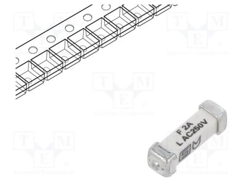 Fusível: baixa tensão, rápido, 2A, 250VAC, 125VDC.