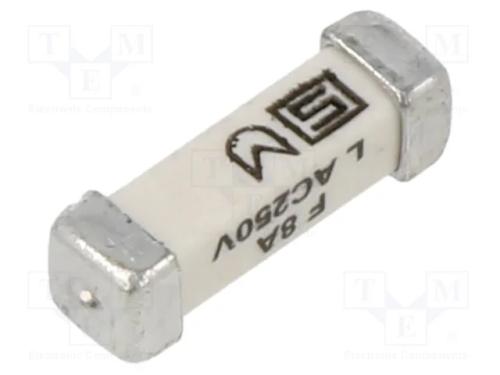 Fusível: baixa tensão, rápido, 8A, 250VAC, 125VDC.